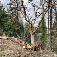 97 XX Arrowsmith Avenue S, Seattle, WA 98118