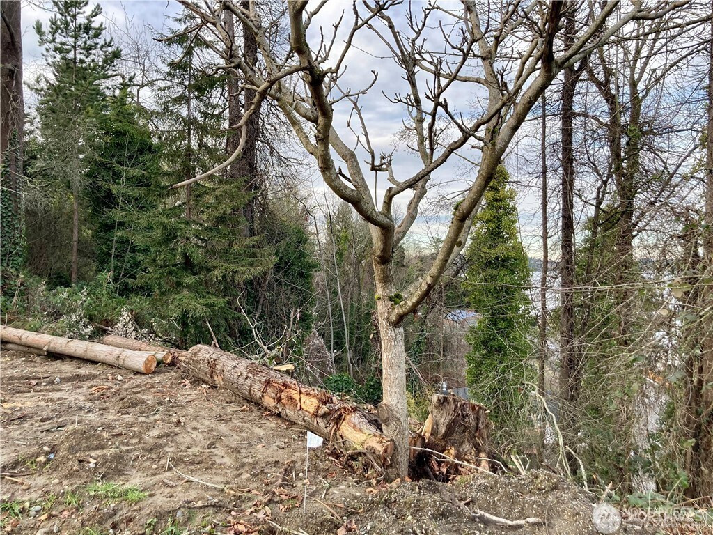 97 XX Arrowsmith Avenue S, Seattle, WA 98118