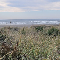 32805 G Street, Ocean Park, WA 98640