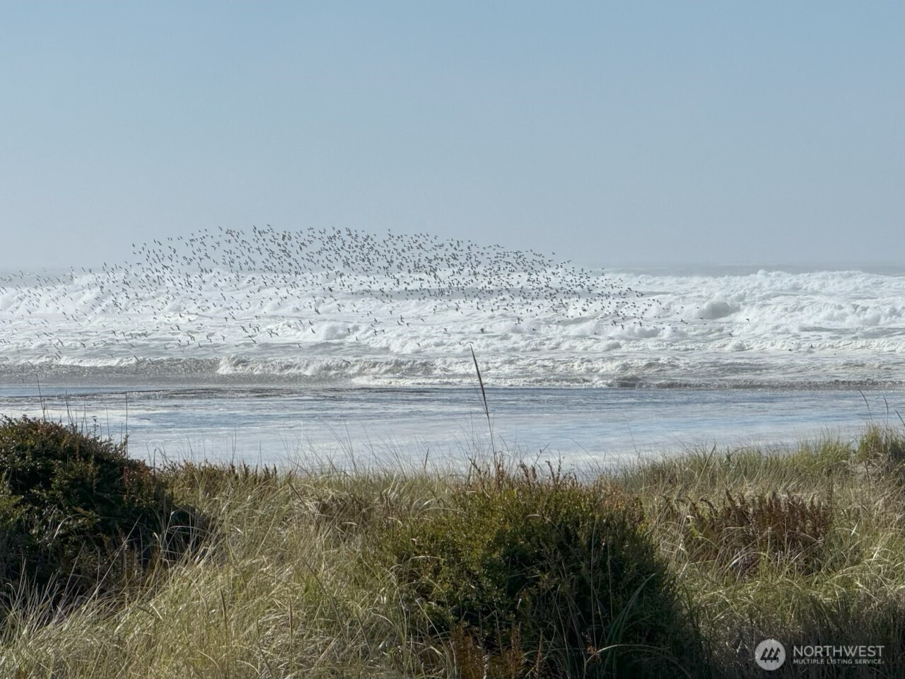 32805 G Street, Ocean Park, WA 98640