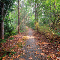 22561 SE 42nd Terrace, Issaquah, WA 98029