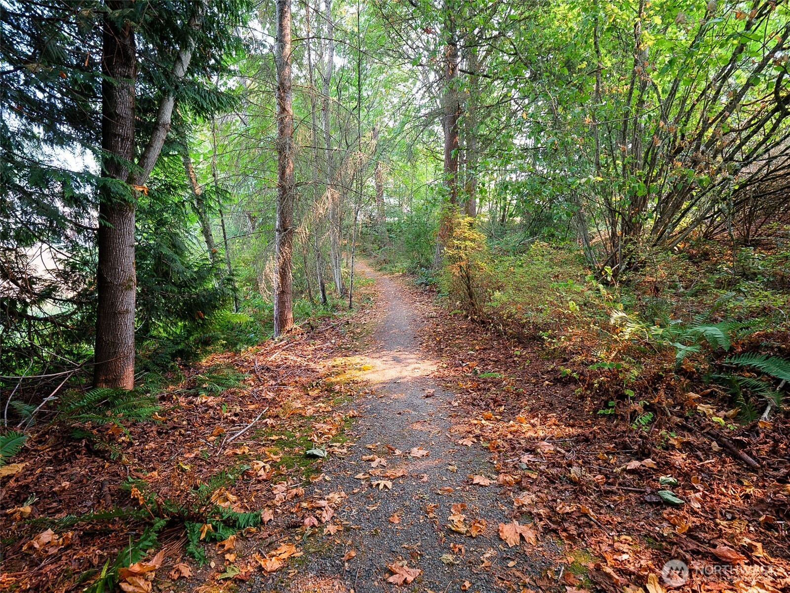 22561 SE 42nd Terrace, Issaquah, WA 98029