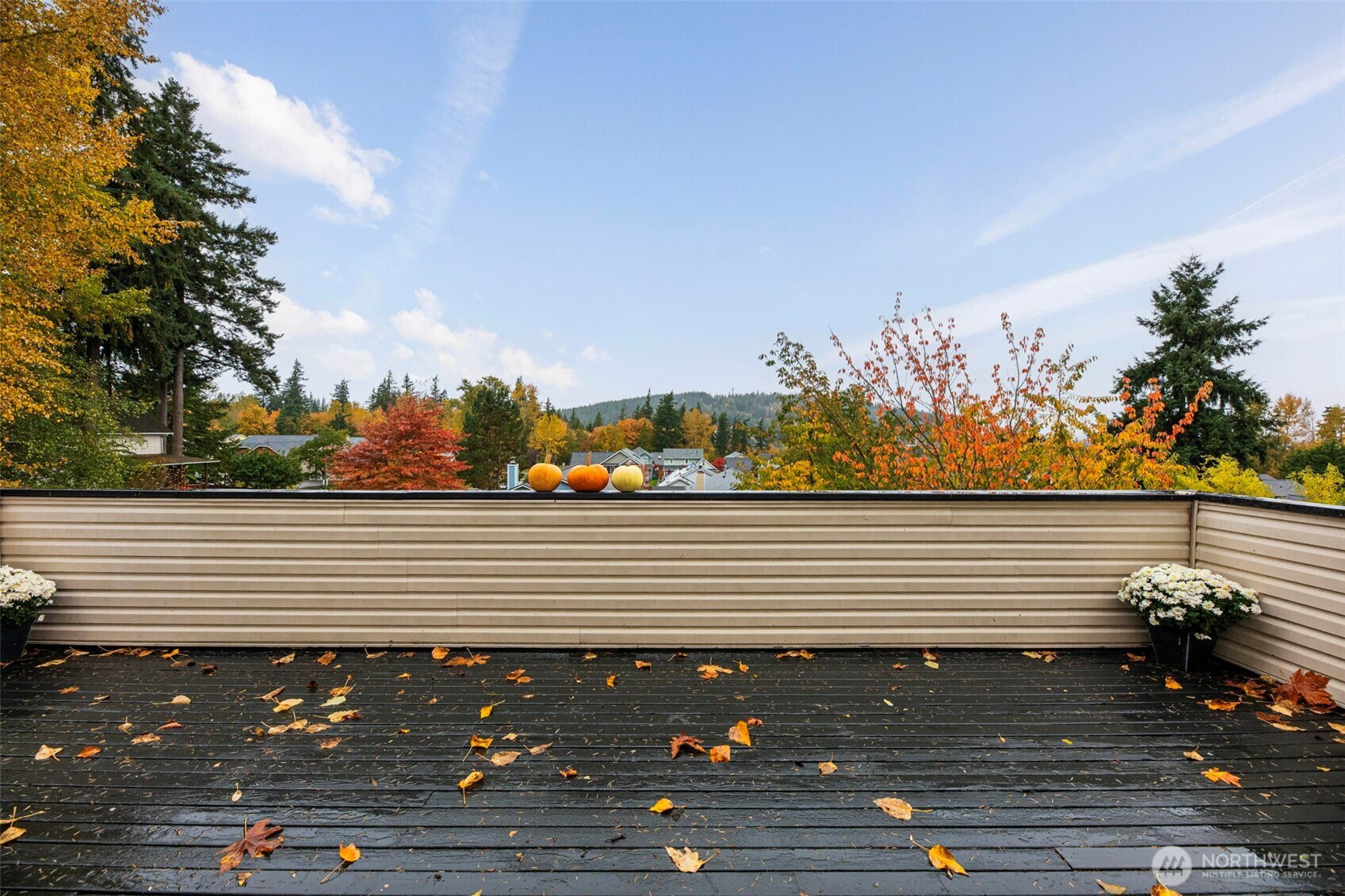 143 S 44th Street, Bellingham, WA 98229