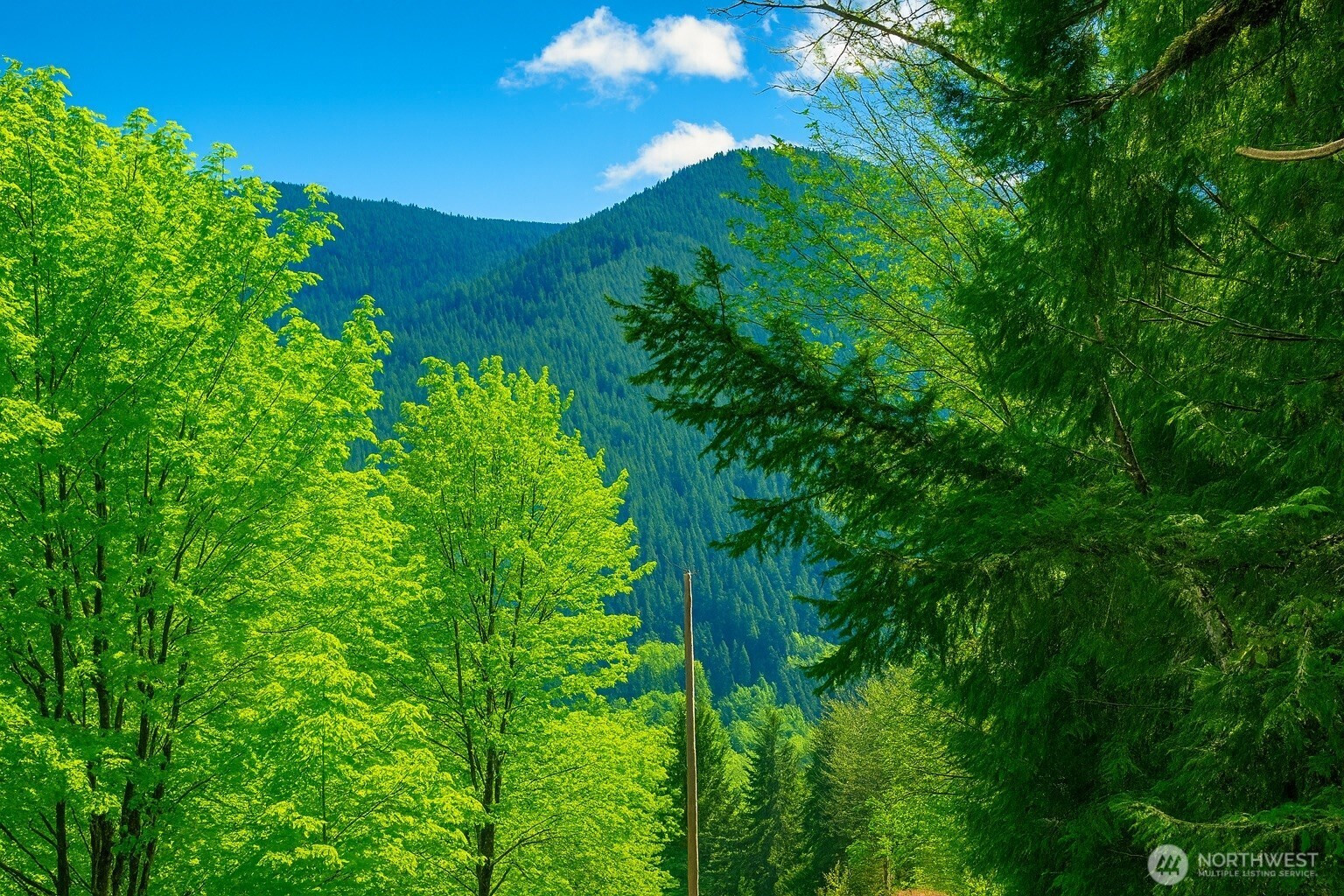 7011 272nd Ave SE, Issaquah, WA 98027