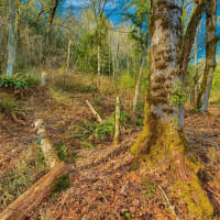 7011 272nd Ave SE, Issaquah, WA 98027