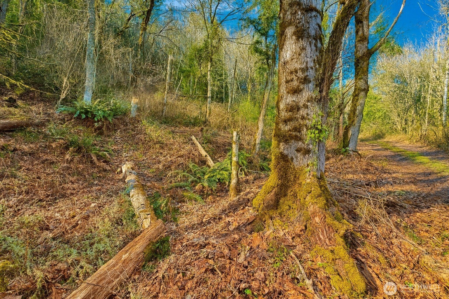 7011 272nd Ave SE, Issaquah, WA 98027