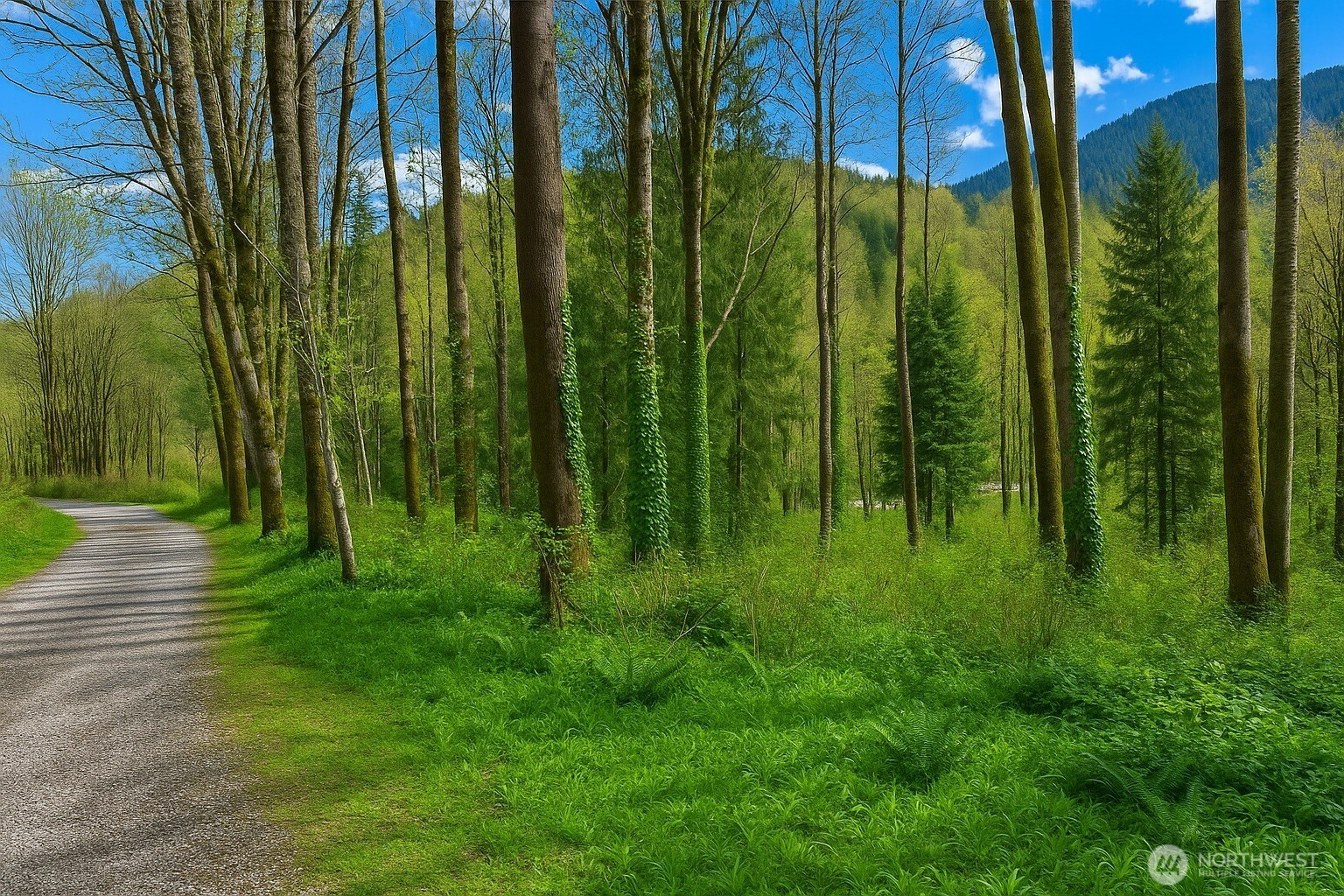 7011 272nd Ave SE, Issaquah, WA 98027