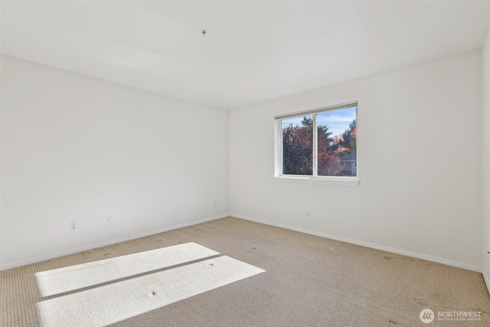 217 112th Street SW, Everett, WA 98204