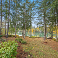 730 SE Nelson Road, Shelton, WA 98584