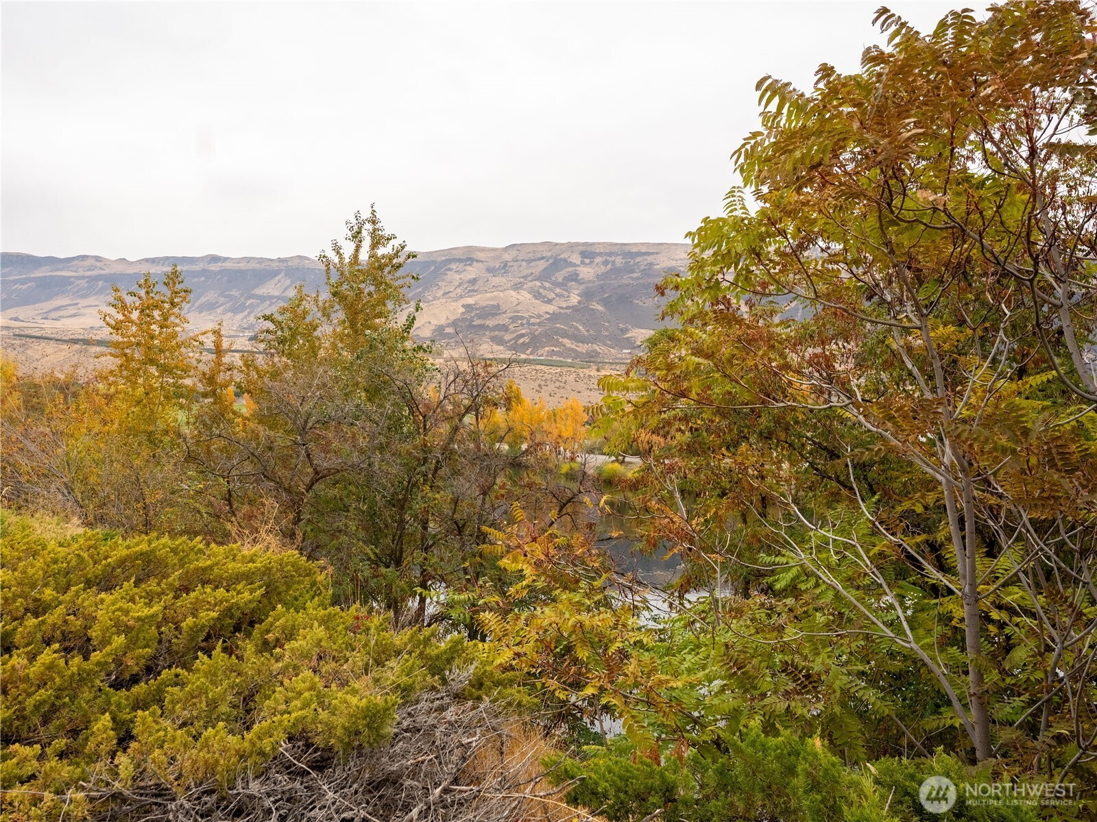 5 Delaware Avenue, Rock Island, WA 98850