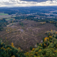 17942 Northcraft Road SE, Tenino, WA 98589