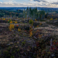 17942 Northcraft Road SE, Tenino, WA 98589