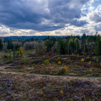 17942 Northcraft Road SE, Tenino, WA 98589