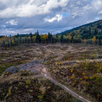 17942 Northcraft Road SE, Tenino, WA 98589