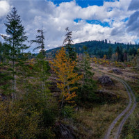 17942 Northcraft Road SE, Tenino, WA 98589