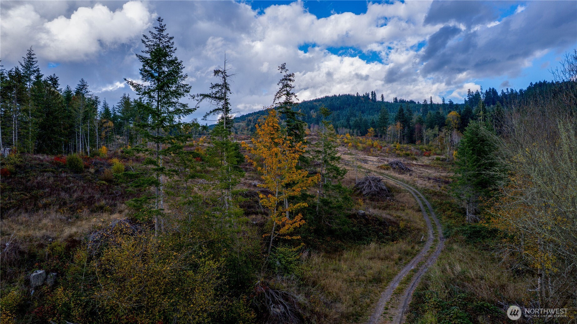 17942 Northcraft Road SE, Tenino, WA 98589