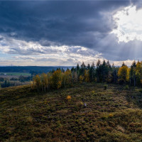 17942 Northcraft Road SE, Tenino, WA 98589