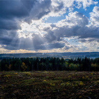 17942 Northcraft Road SE, Tenino, WA 98589