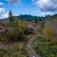 17942 Northcraft Road SE, Tenino, WA 98589