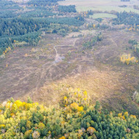 17942 Northcraft Road SE, Tenino, WA 98589