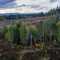 17942 Northcraft Road SE, Tenino, WA 98589