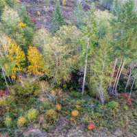 17942 Northcraft Road SE, Tenino, WA 98589