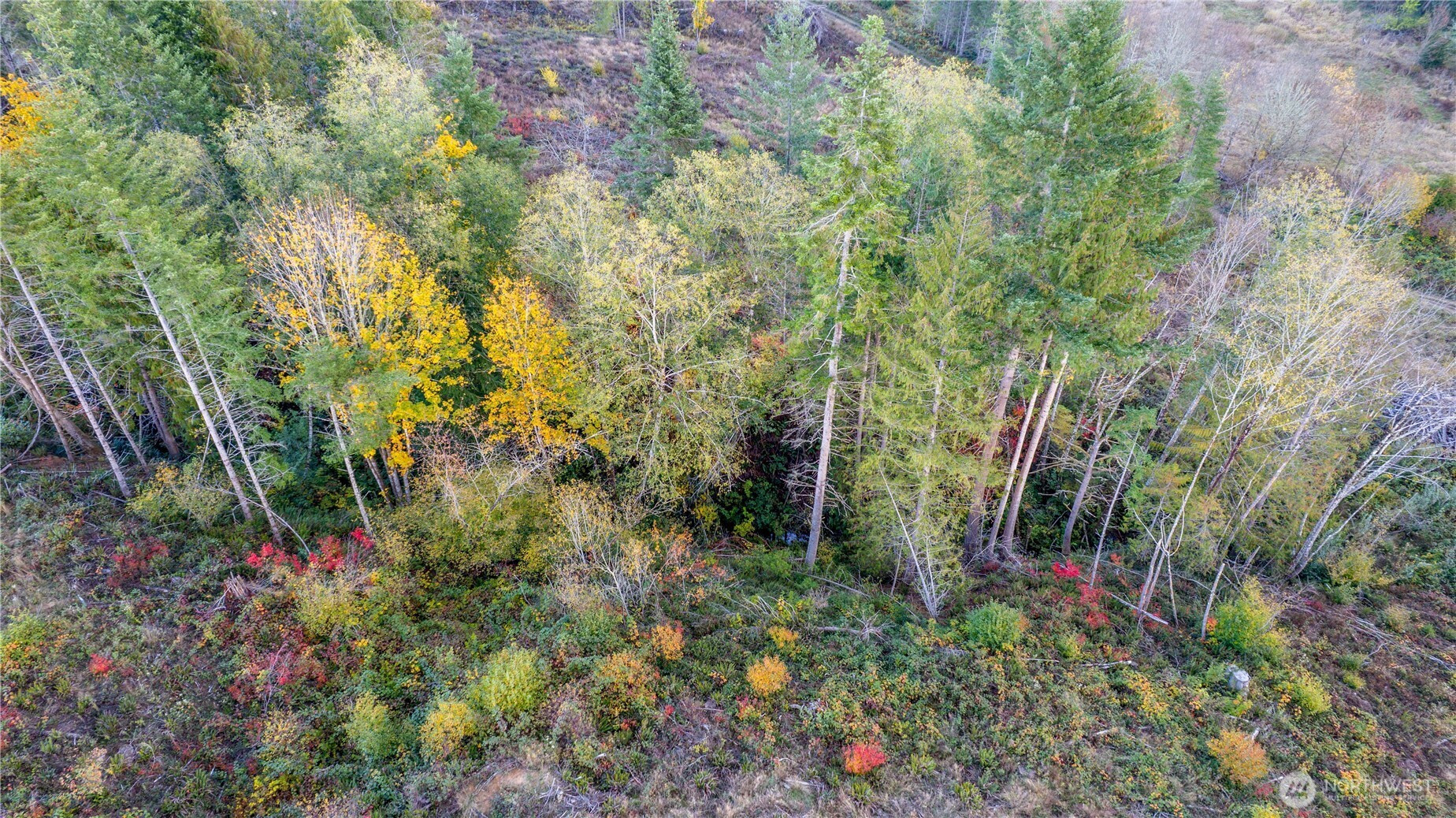 17942 Northcraft Road SE, Tenino, WA 98589