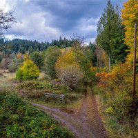 17942 Northcraft Road SE, Tenino, WA 98589