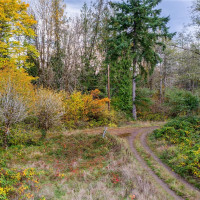 17942 Northcraft Road SE, Tenino, WA 98589