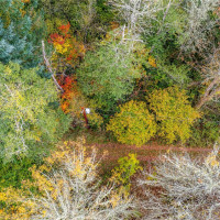 17942 Northcraft Road SE, Tenino, WA 98589