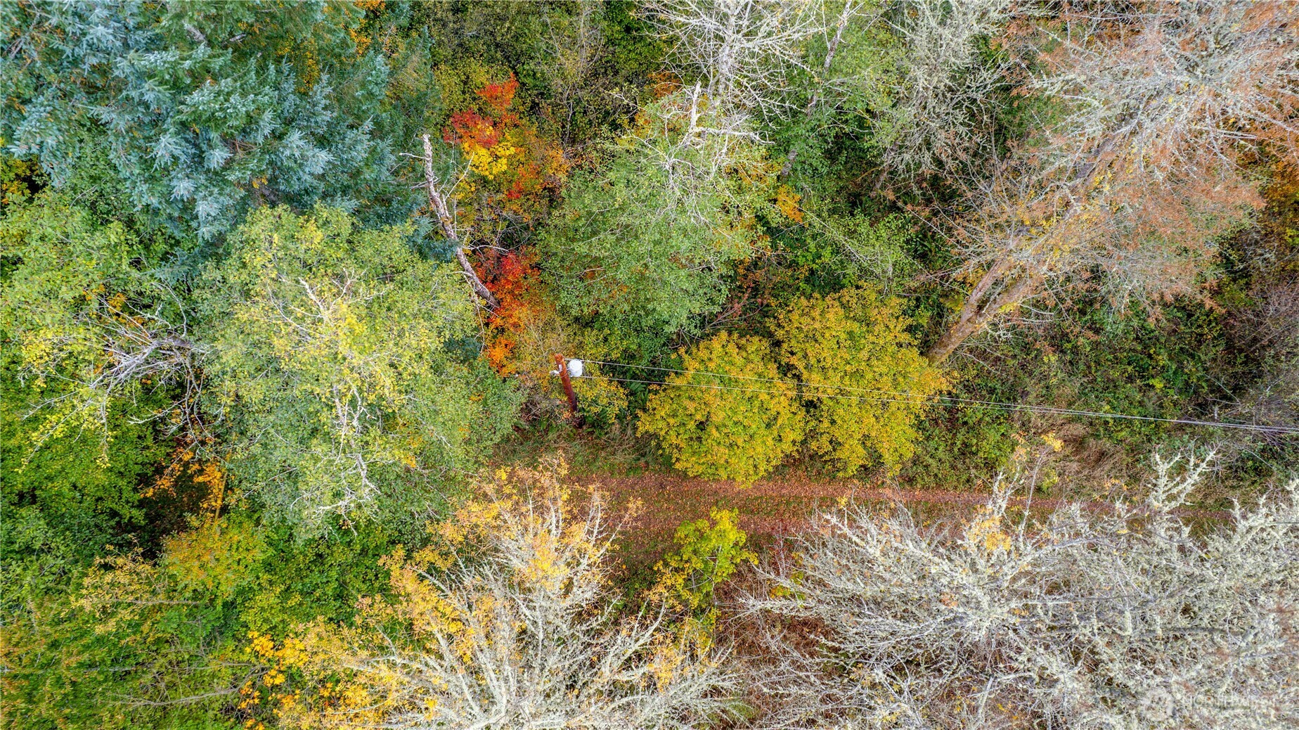 17942 Northcraft Road SE, Tenino, WA 98589