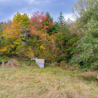 17942 Northcraft Road SE, Tenino, WA 98589