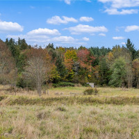 17942 Northcraft Road SE, Tenino, WA 98589