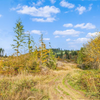 17942 Northcraft Road SE, Tenino, WA 98589