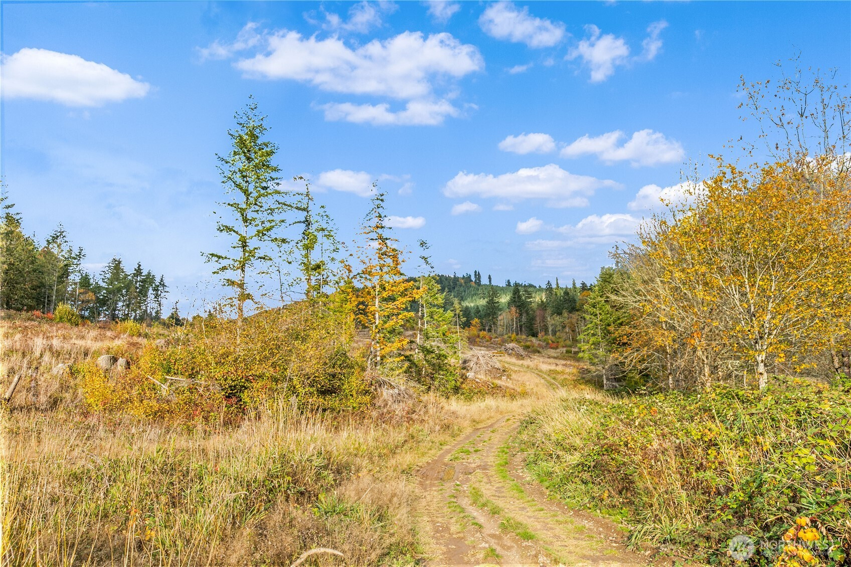 17942 Northcraft Road SE, Tenino, WA 98589