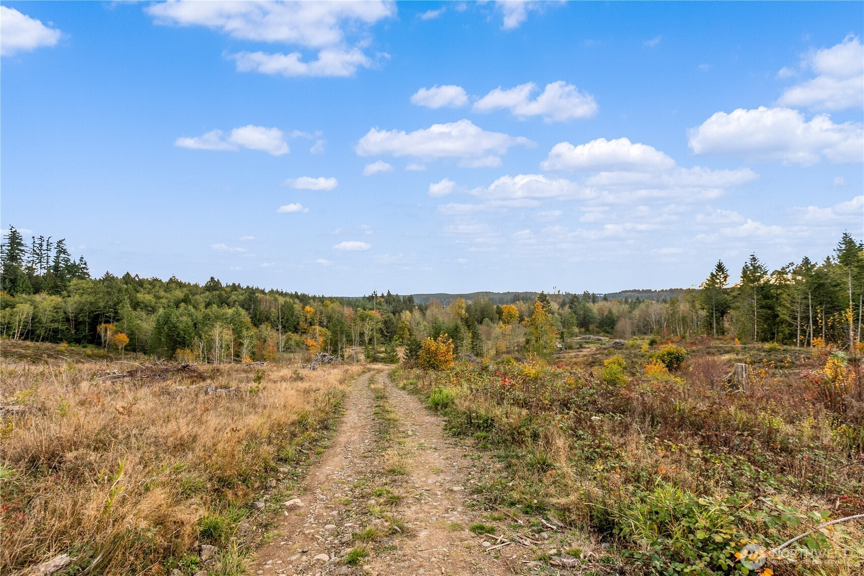 17942 Northcraft Road SE, Tenino, WA 98589