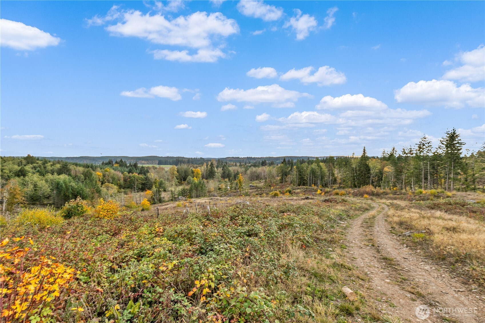 17942 Northcraft Road SE, Tenino, WA 98589