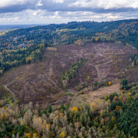 17942 Northcraft Road SE, Tenino, WA 98589