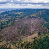 17942 Northcraft Road SE, Tenino, WA 98589