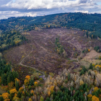 17942 Northcraft Road SE, Tenino, WA 98589