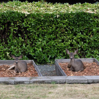 631 Park Avenue, Port Angeles, WA 98362