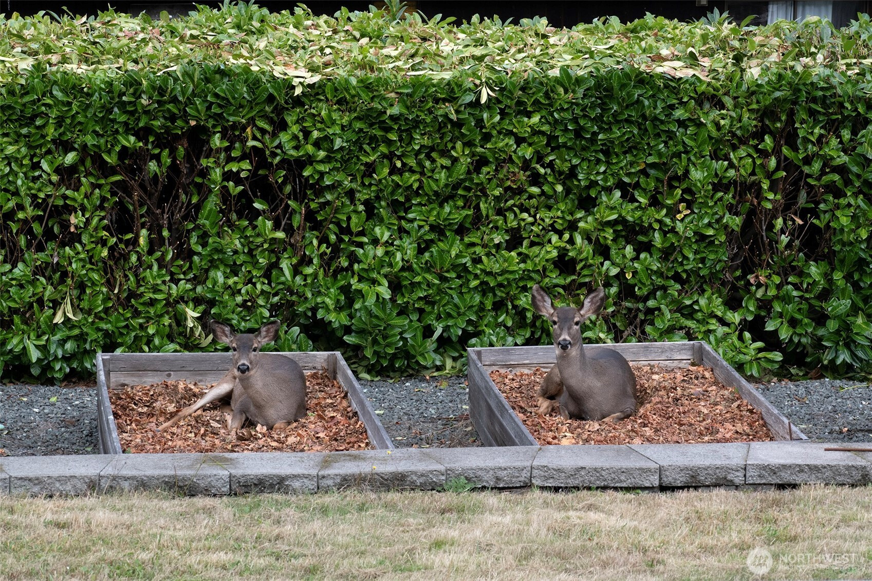 631 Park Avenue, Port Angeles, WA 98362