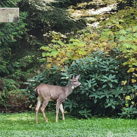 3996 Sweetwater Road, Bow, WA 98232