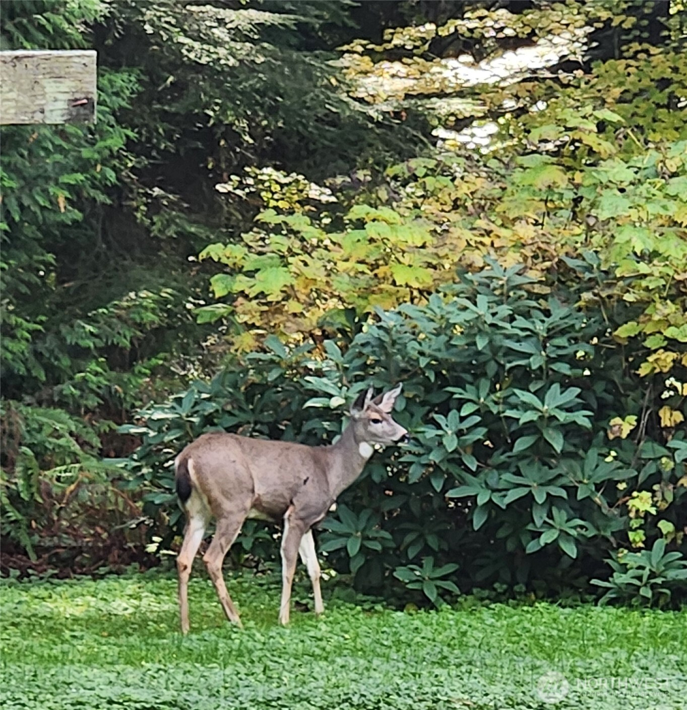 3996 Sweetwater Road, Bow, WA 98232