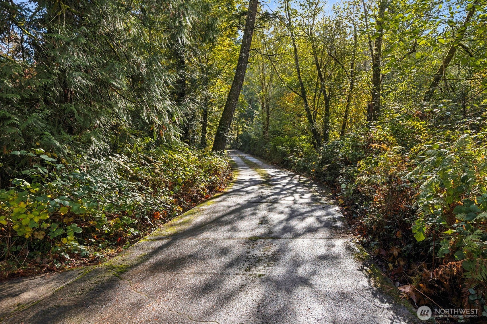 2626 28th Avenue NW, Olympia, WA 98502