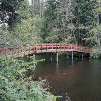 22318 Blue Lake Court SE, Yelm, WA 98597