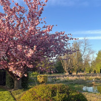 107 South Pass Road, Nooksack, WA 98276