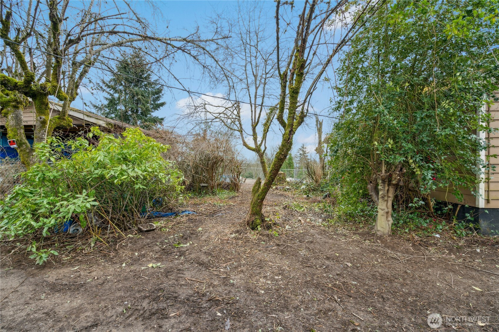 1409 N 24th Street, Renton, WA 98056