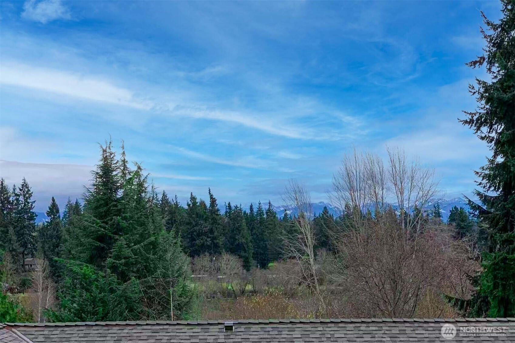 15414 SE 17th Street, Bellevue, WA 98007