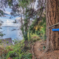 9804 SW Bunker Trail, Vashon, WA 98070